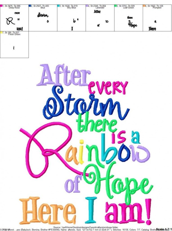 After Storm Rainbow Baby - Image 2